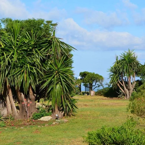 Akti Anastasia - zdjęcie 4
