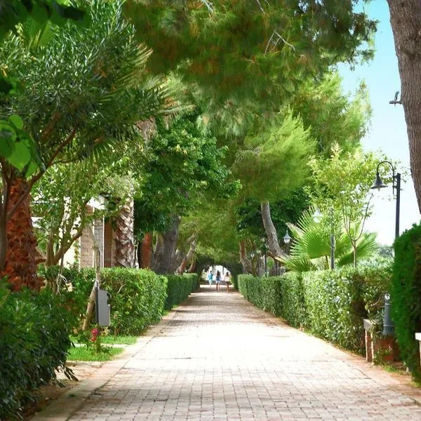 Sciabache Resort (Marina di Zambrone) - zdjęcie 4