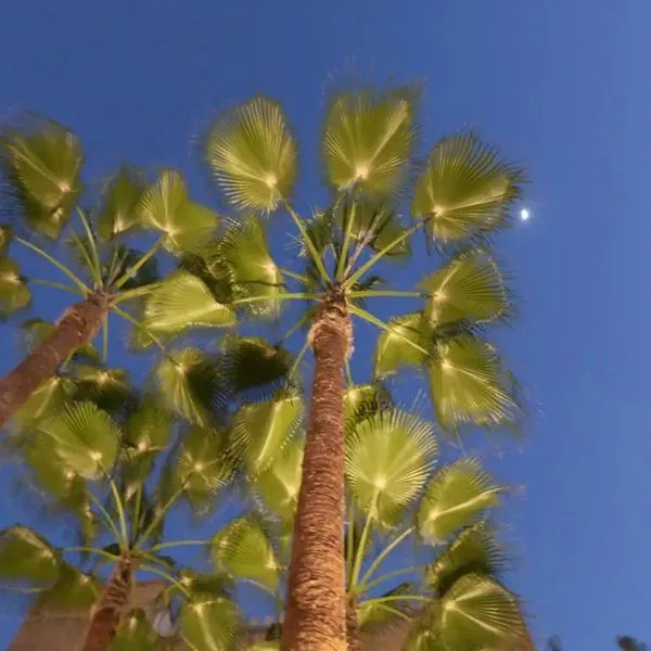 Palais Tinmel - zdjęcie 3