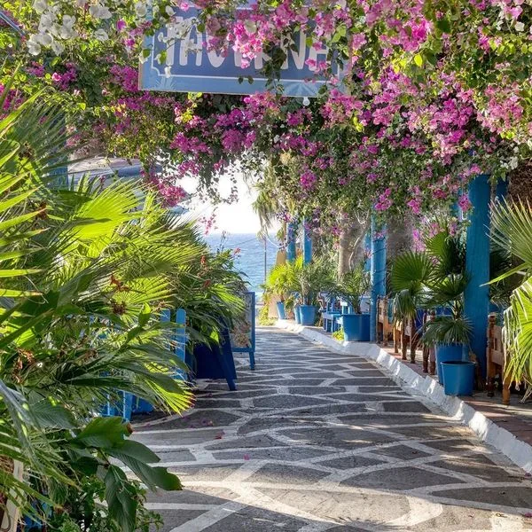 Palm Bay - zdjęcie 4