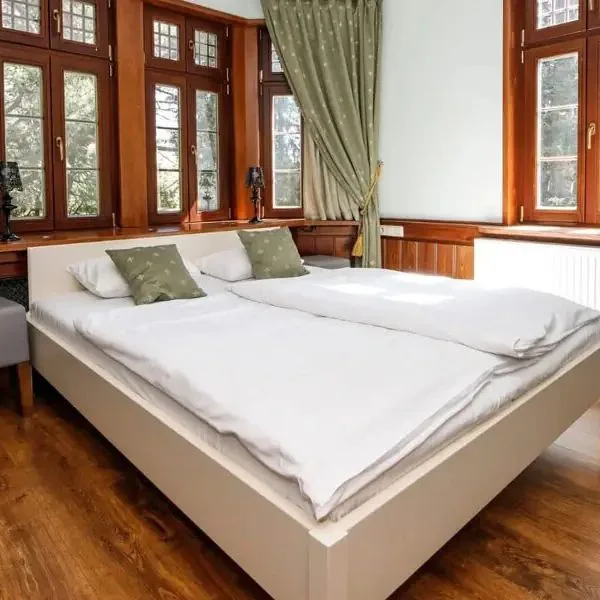 Silva (Szklarska Poręba) - zdjęcie 5