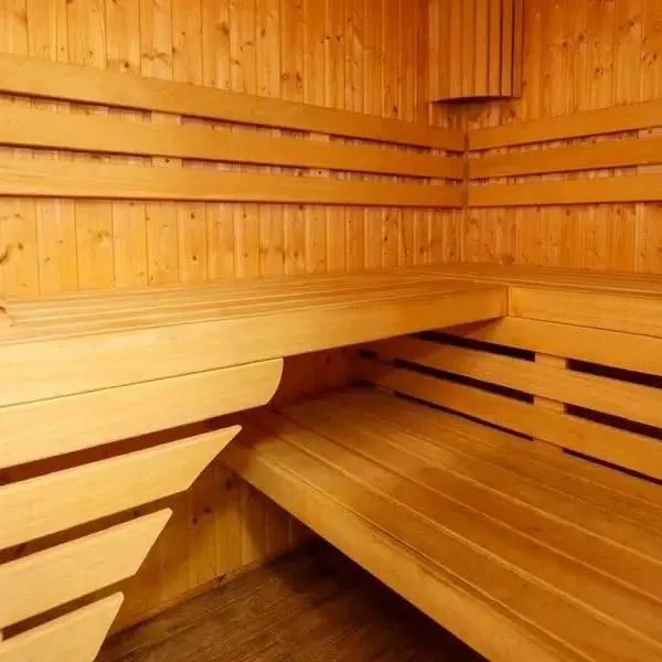 Silva (Szklarska Poręba) - zdjęcie 2