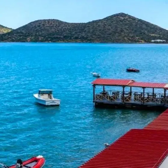 Aristea - zdjęcie 4