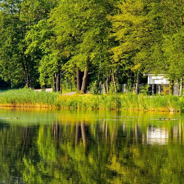 Savoy / Reset - zdjęcie 2