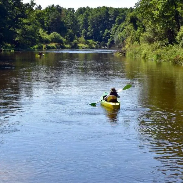 Savoy / Reset - zdjęcie 3