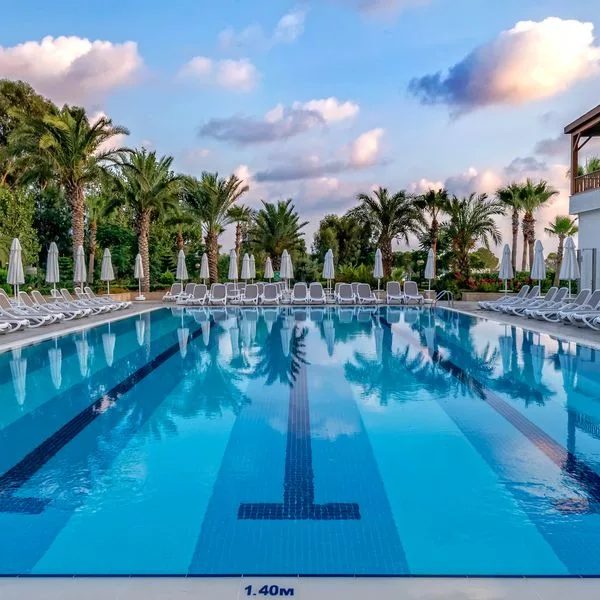 Sidemarin Kirman Premium - zdjęcie 4