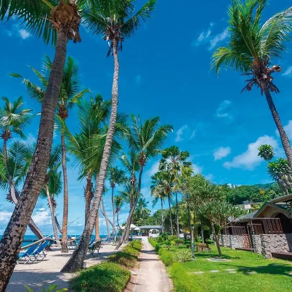 Coco De Mer & Black Parrot - zdjęcie 4