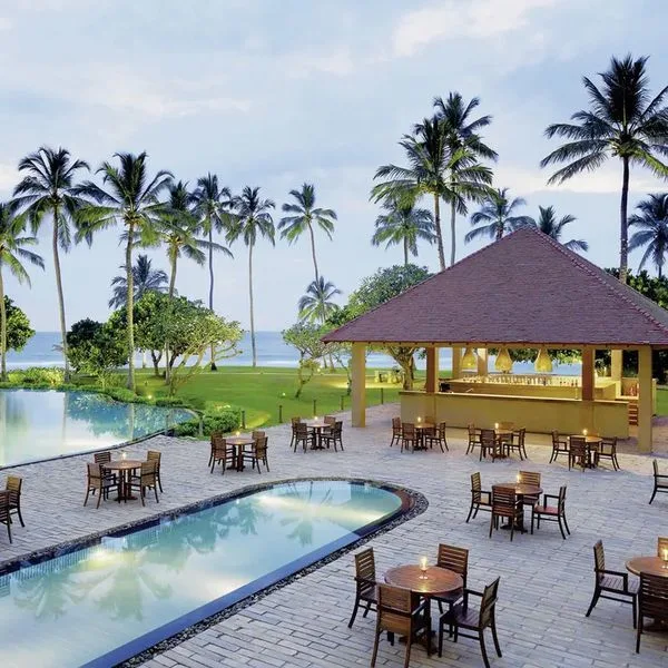 Hikka Tranz by Cinnamon (ex Chaaya Tranz) - zdjęcie 3