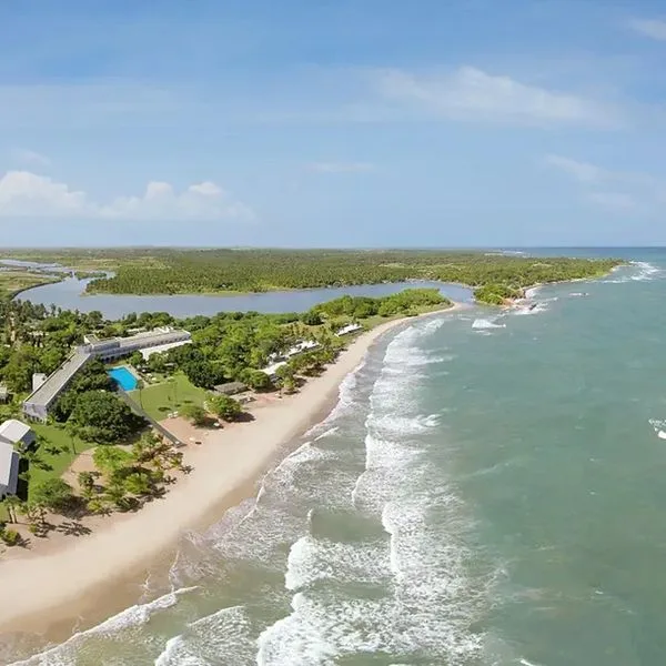 Hikka Tranz by Cinnamon (ex Chaaya Tranz) - zdjęcie 2