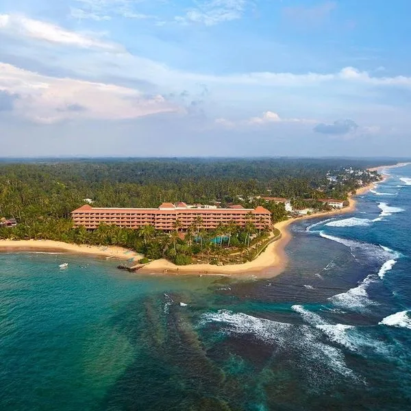 Hikka Tranz by Cinnamon (ex Chaaya Tranz)