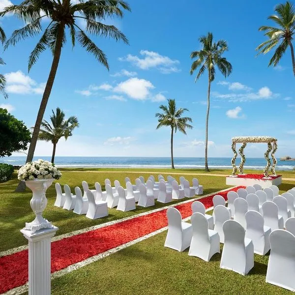 Hikka Tranz by Cinnamon (ex Chaaya Tranz) - zdjęcie 5