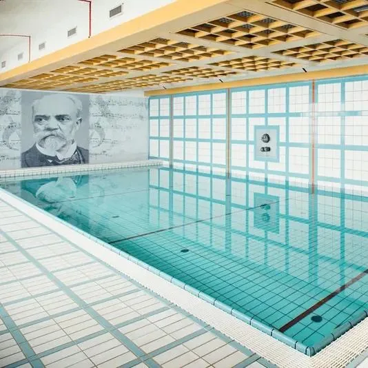 Dvorak Spa - zdjęcie 3