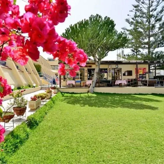 Napa Prince - zdjęcie 4