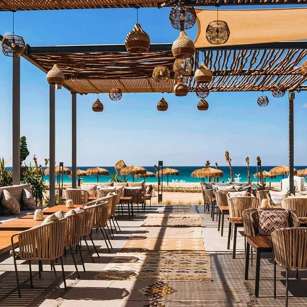 Kynd 01 - zdjęcie 3