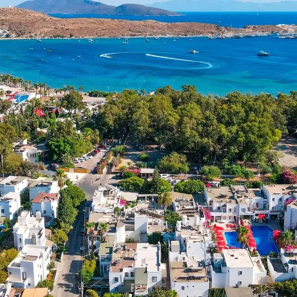 The Hello (ex Seray Class) - zdjęcie 4