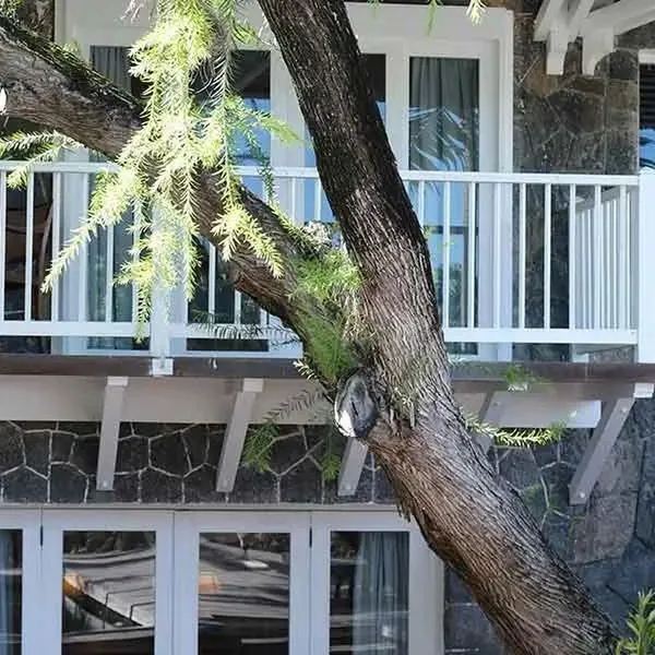 20° Sud - zdjęcie 5