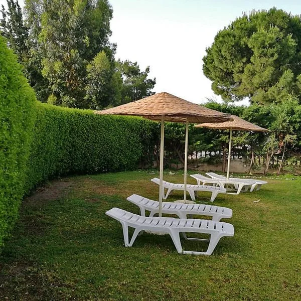 Golden Days - zdjęcie 4