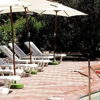 Skentos - zdjęcie 4