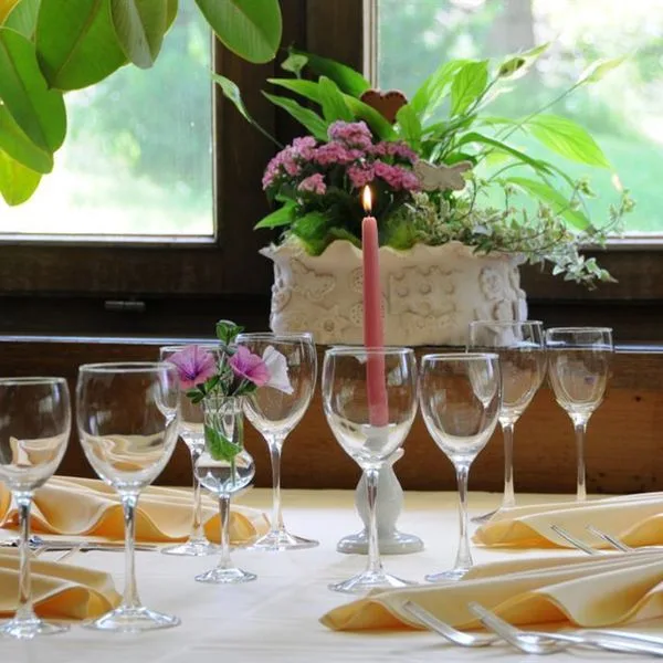 Wildgall - zdjęcie 3