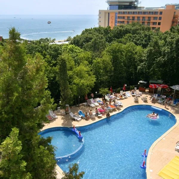 Tintyava - zdjęcie 2