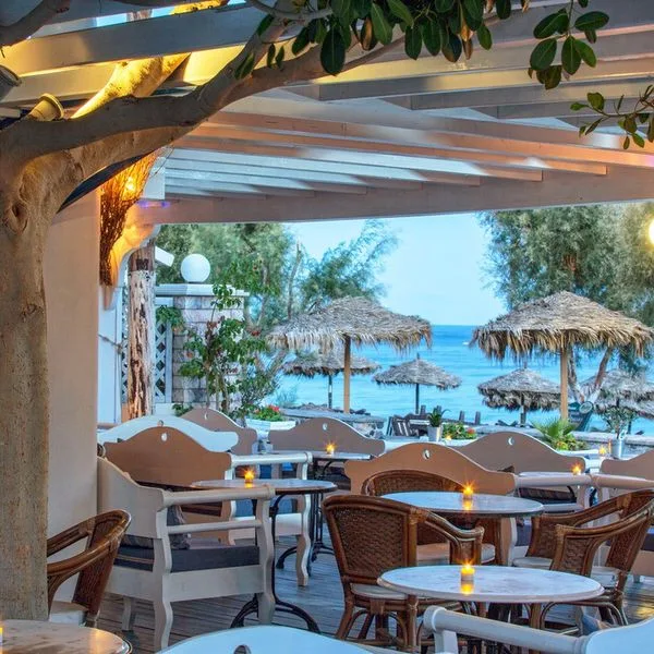 Veggera - zdjęcie 4