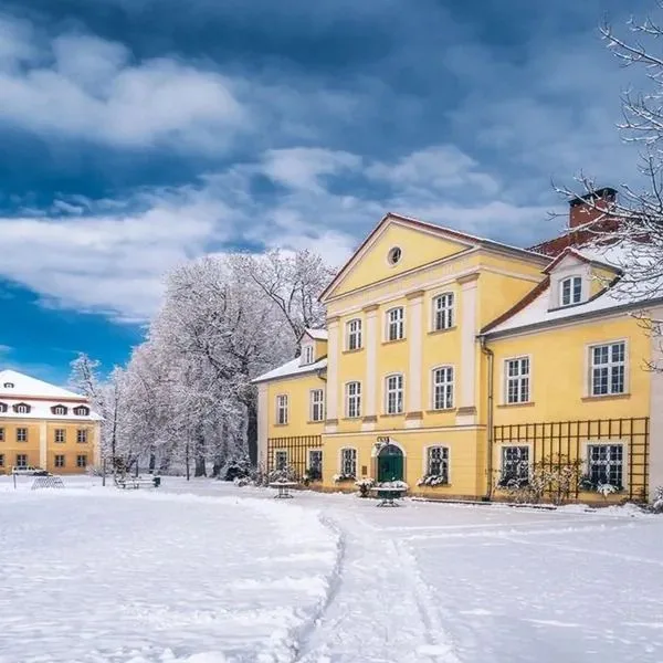 Pałac Łomnica - zdjęcie 5