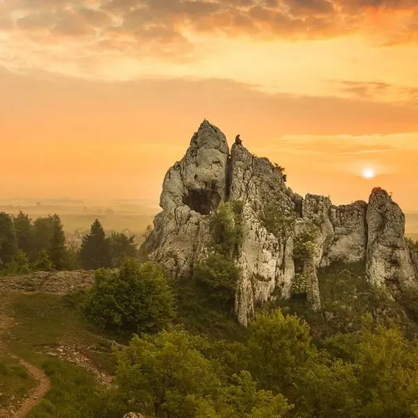 Fajkier - zdjęcie 4