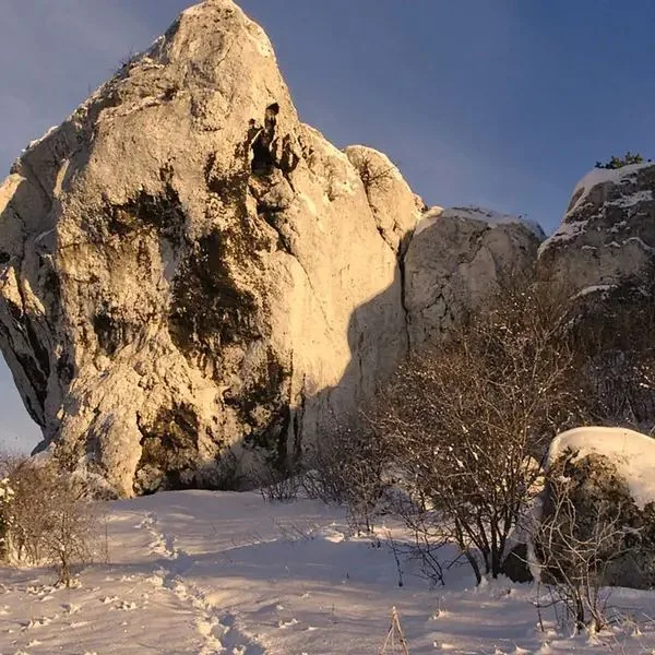 Fajkier - zdjęcie 5