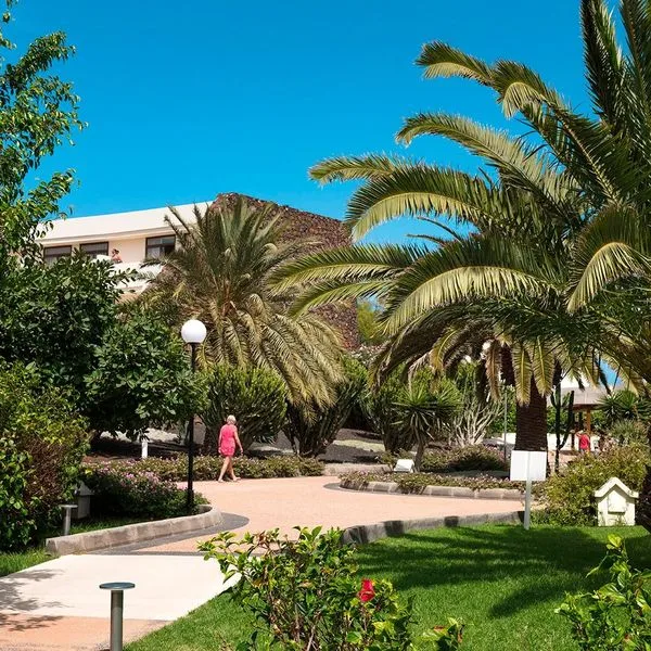 Los Zocos Impressive - zdjęcie 3