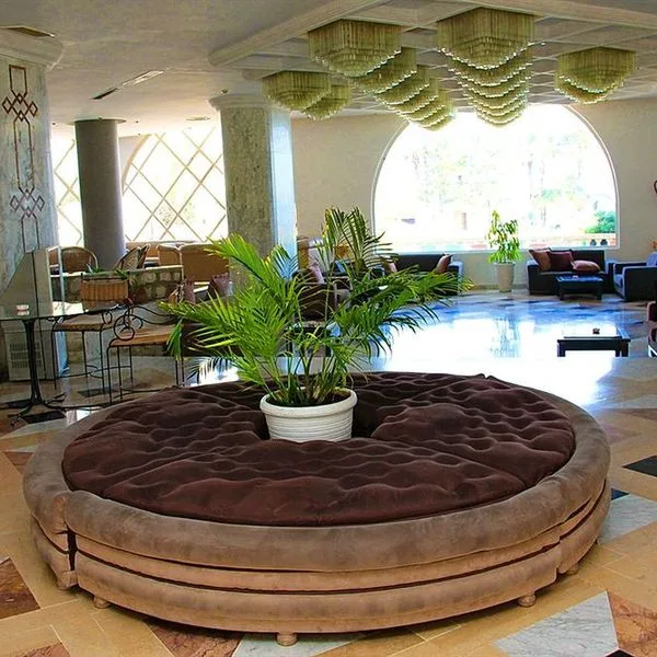 Delphin El Habib - zdjęcie 5