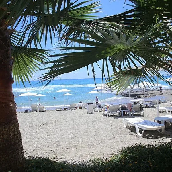 Simply Fine Alize - zdjęcie 3