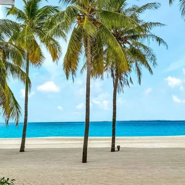 Hondaafushi Island Resort - zdjęcie 3