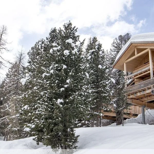 Alpenpark Turracher Hohe - zdjęcie 4