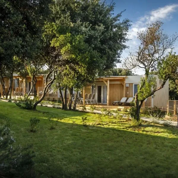 Camp Vestar - zdjęcie 5