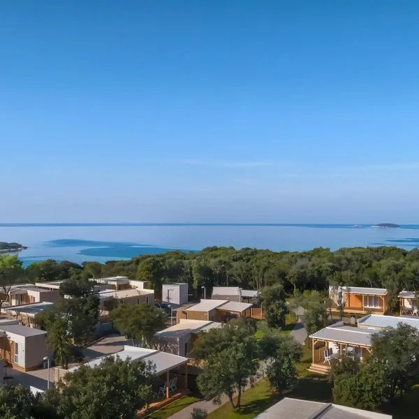 Camp Vestar - zdjęcie 3