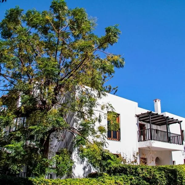 Club Lyda (ex. Bomo) - zdjęcie 4