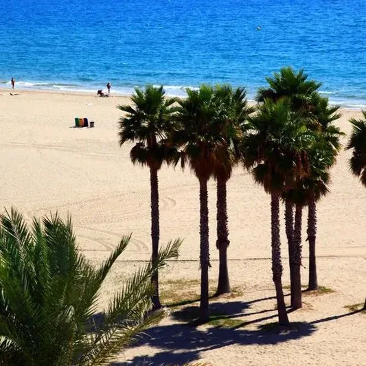 4R Gran Europe - zdjęcie 5