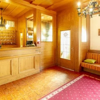 Stella Alpina - zdjęcie 2