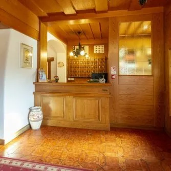 Stella Alpina - zdjęcie 3