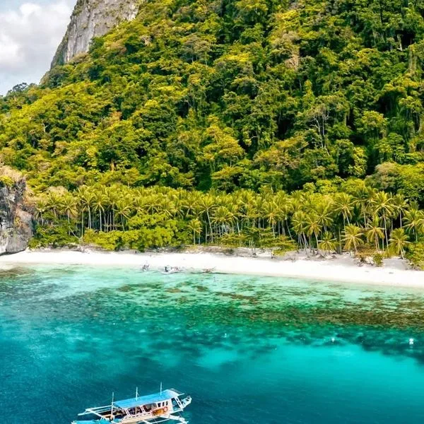 The Funny Lion El Nido - zdjęcie 4