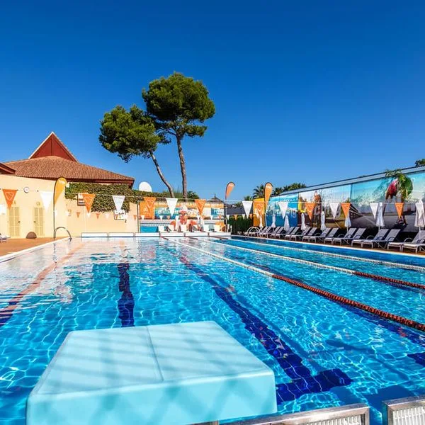 Viva Blue - zdjęcie 4