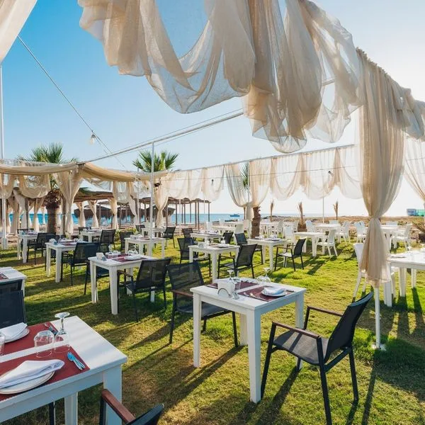 Asteria Bloom Side - zdjęcie 3