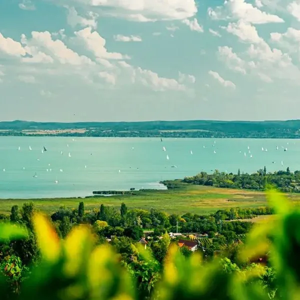 Csopak Resort & Lake - zdjęcie 5