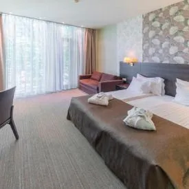 Rixwell Elefant (ex Wellton Elefant) - zdjęcie 5