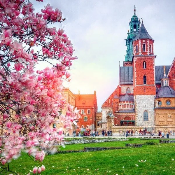 Centrum (Kraków) - zdjęcie 4