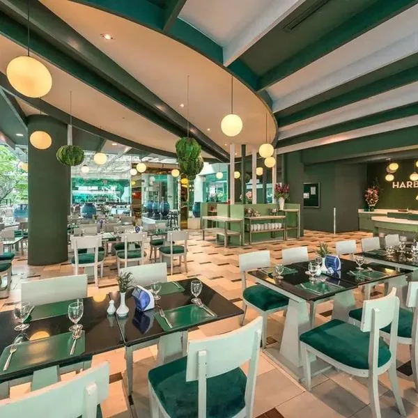 A-One New Wing - zdjęcie 4