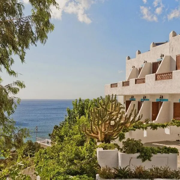 Albatros (Amoopi) - zdjęcie 4