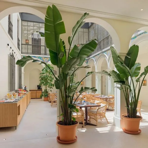 H10 Palacio Colomera - zdjęcie 4