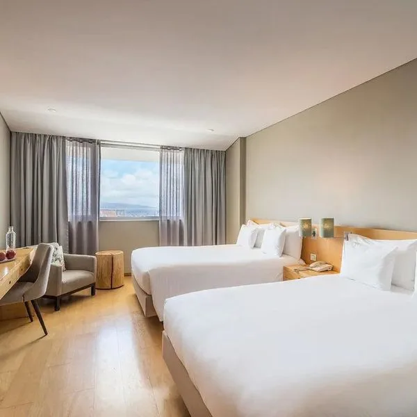 The Lince Azores Great - zdjęcie 3