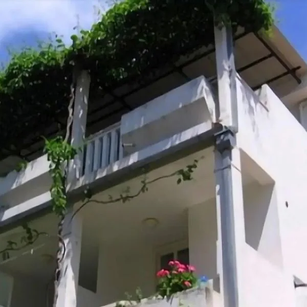 Apartments Jelena 27